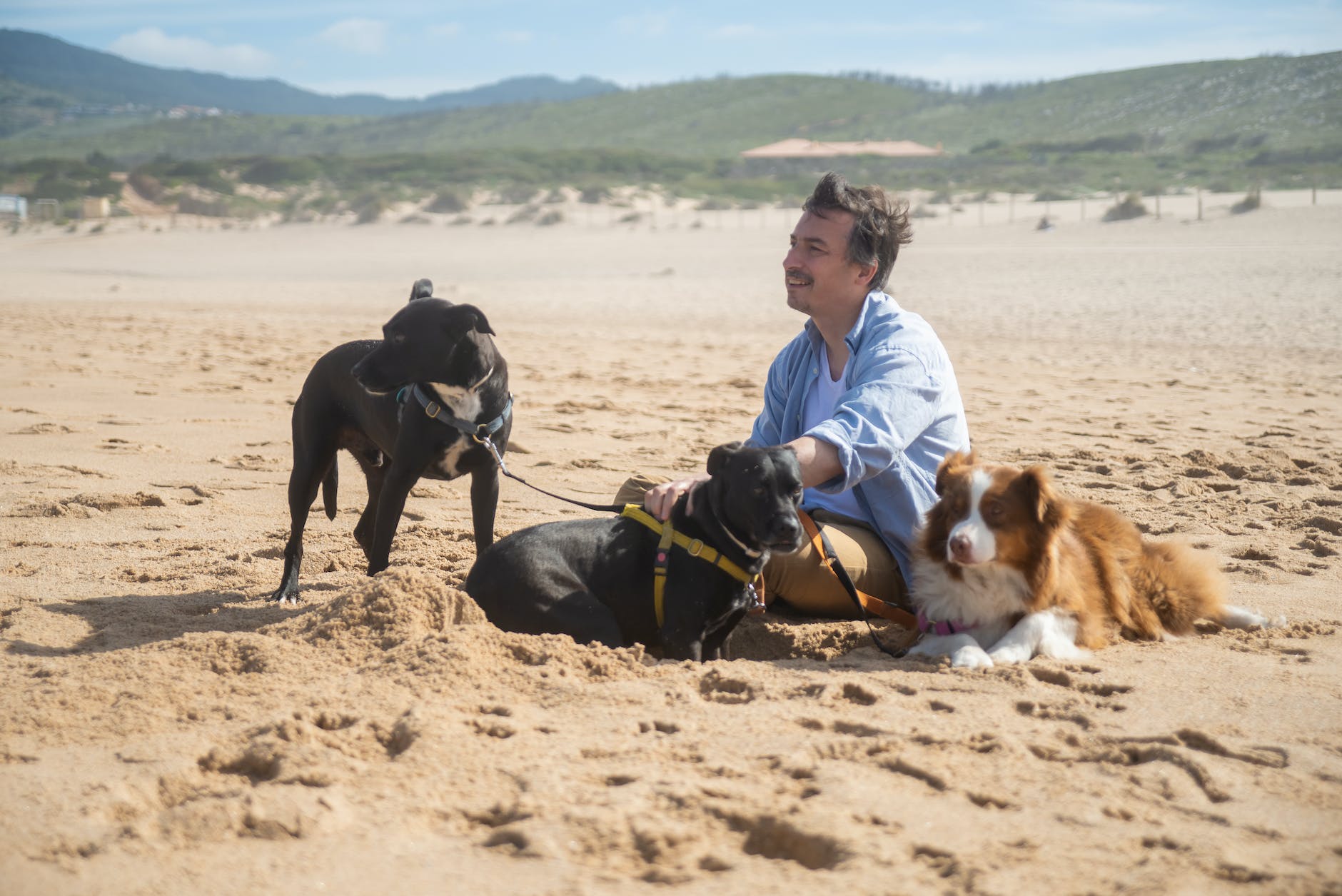 a man sitting on sand with dogs